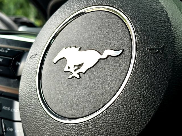 Certified 2019 Ford Mustang GT Premium RWD image 29