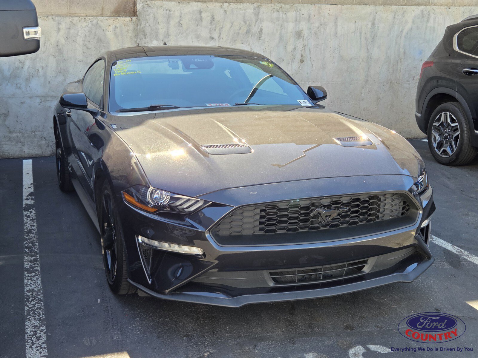 Certified 2023 Ford Mustang Coupe w/ Equipment Group 101A RWD image 1