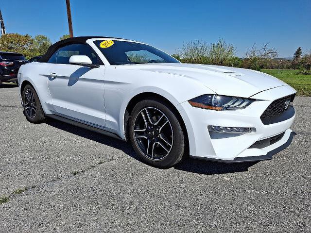 Certified 2023 Ford Mustang Premium image 8