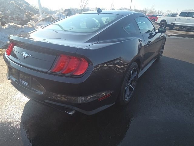 Certified 2023 Ford Mustang Coupe w/ Equipment Group 101A image 4