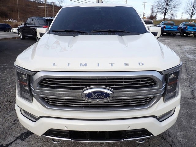 Certified 2023 Ford F150 Limited image 8