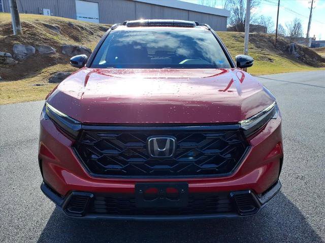 Used 2024 Honda CR-V Sport image 7