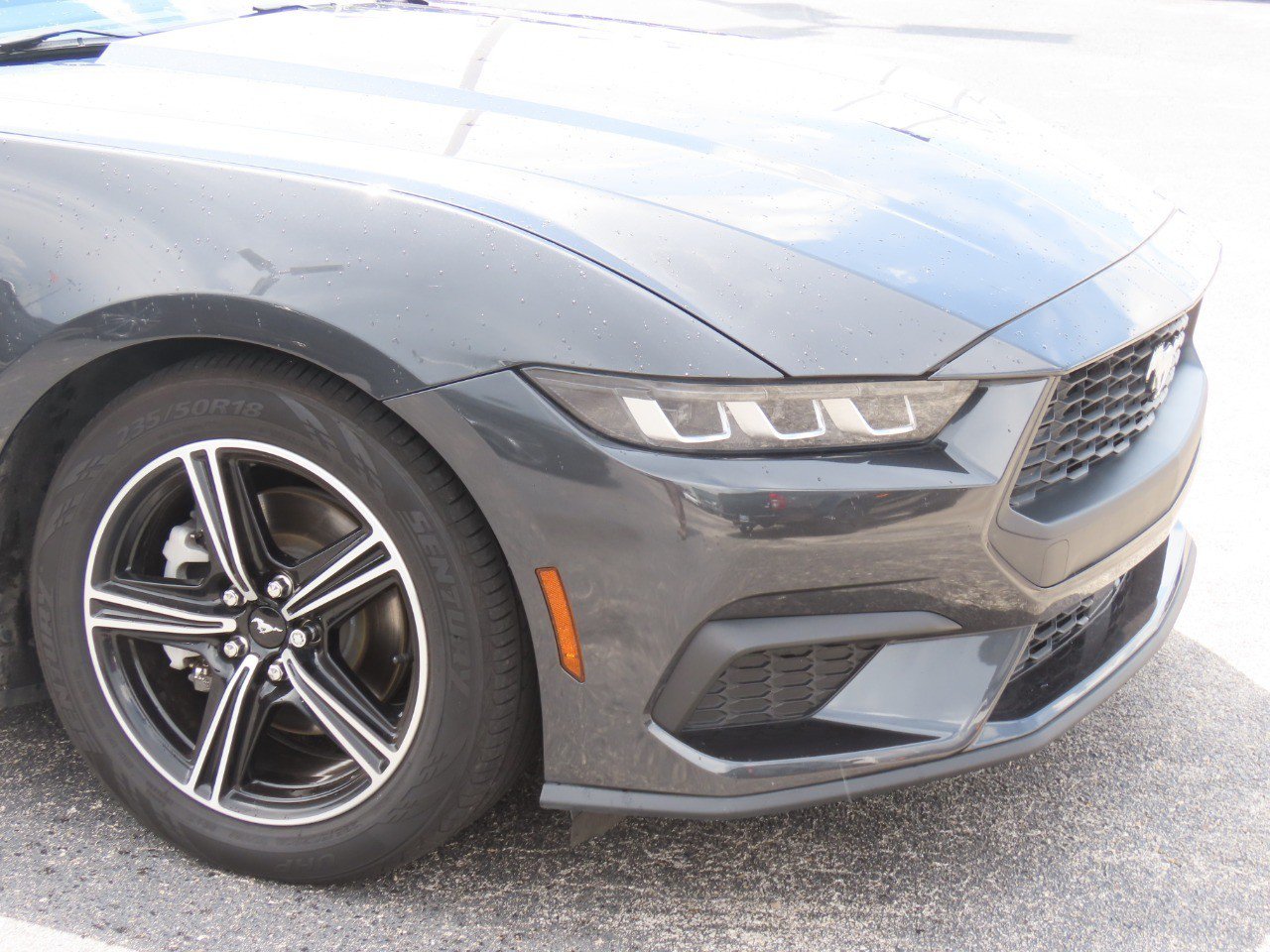 Certified 2024 Ford Mustang Premium RWD image 6
