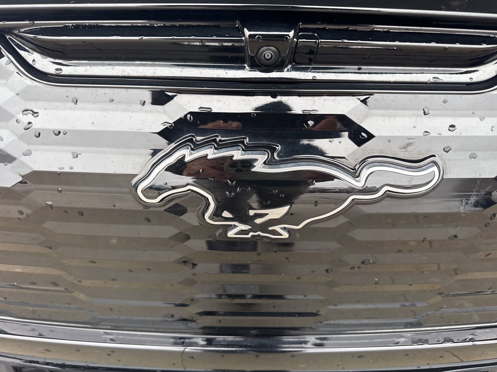 Certified 2025 Ford Mustang Mach-E Premium w/ Sport Appearance Package image 14