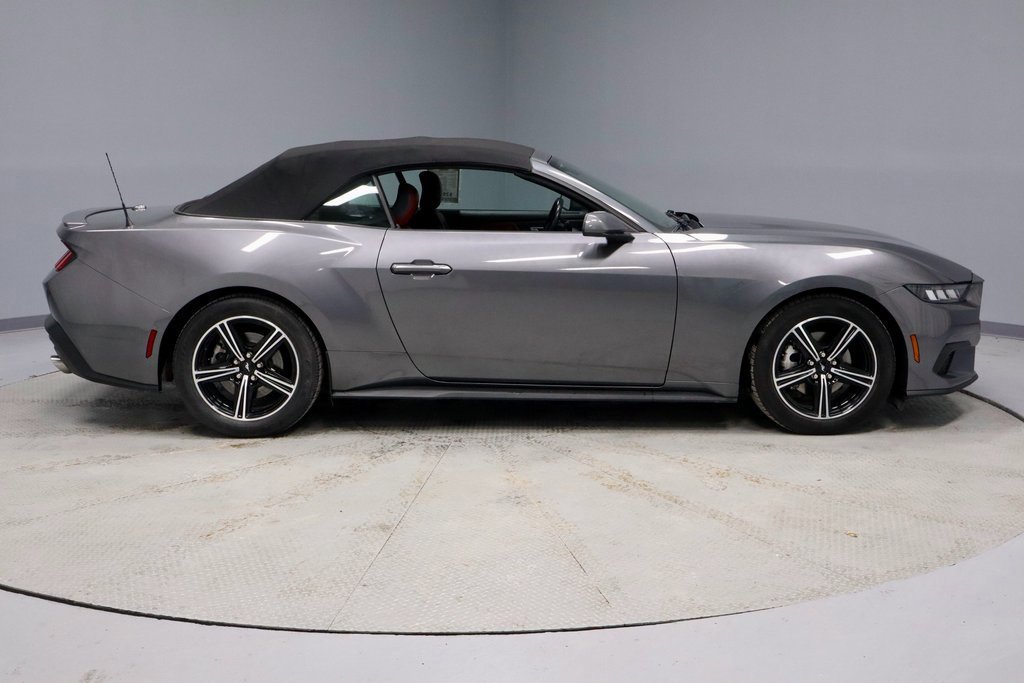 Certified 2024 Ford Mustang Premium image 6