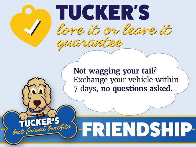 Used 2025 Toyota Tundra SR5 w/ SR5 Convenience Package AWD/4WD image 15