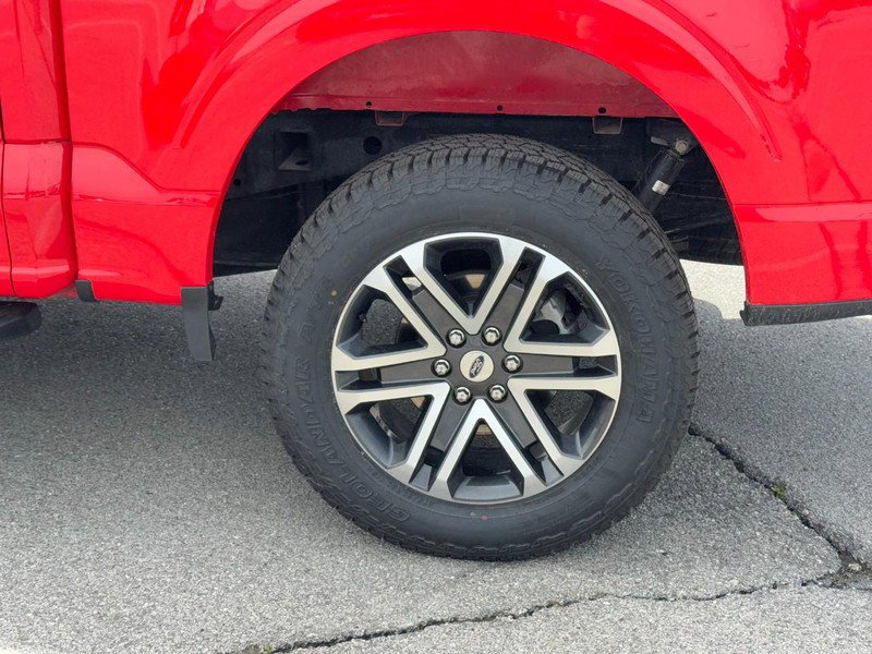 Certified 2023 Ford F150 XL w/ STX Appearance Package AWD/4WD image 7
