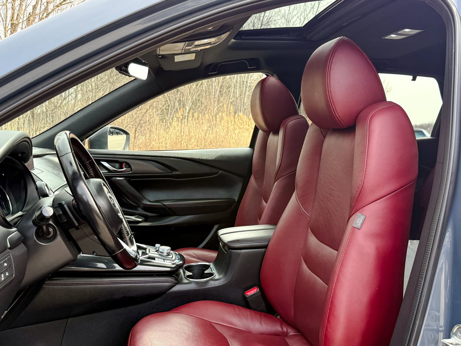 Used 2022 MAZDA CX-9 Carbon Edition image 18