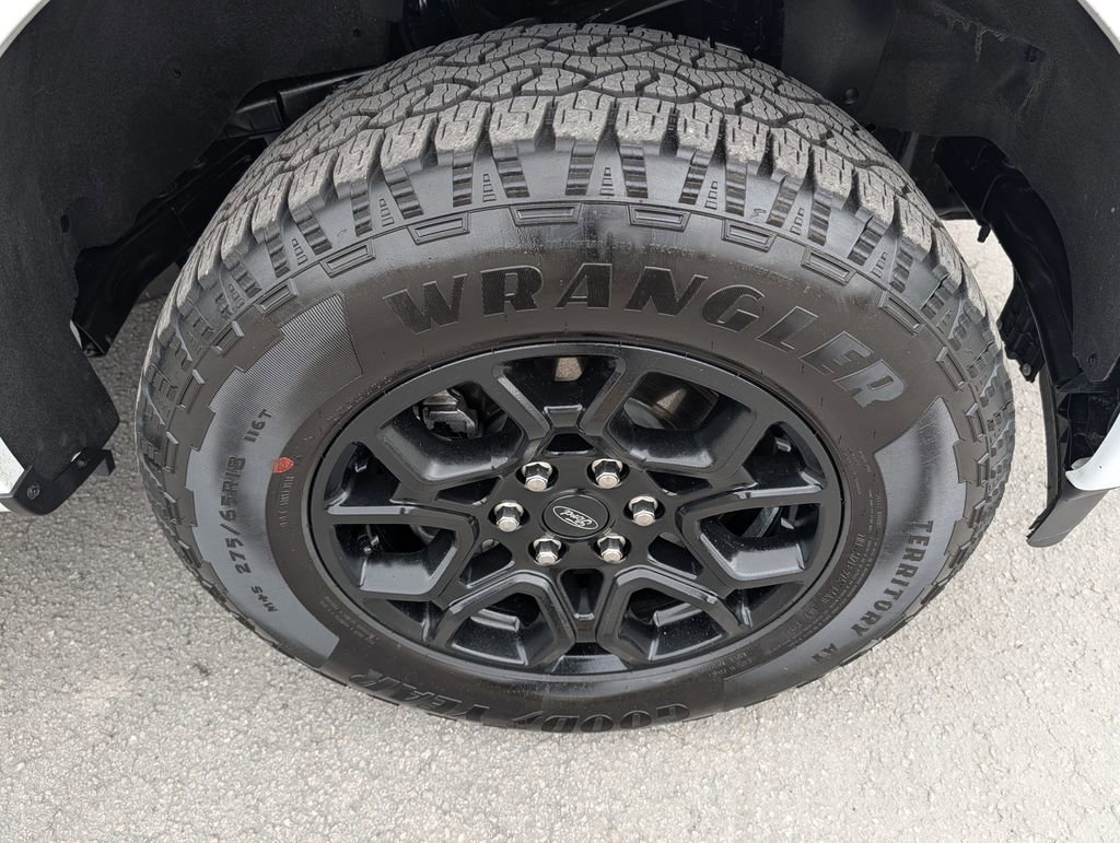 Certified 2025 Ford F150 STX image 36