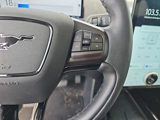 Certified 2024 Ford Mustang Mach-E Premium RWD image 14