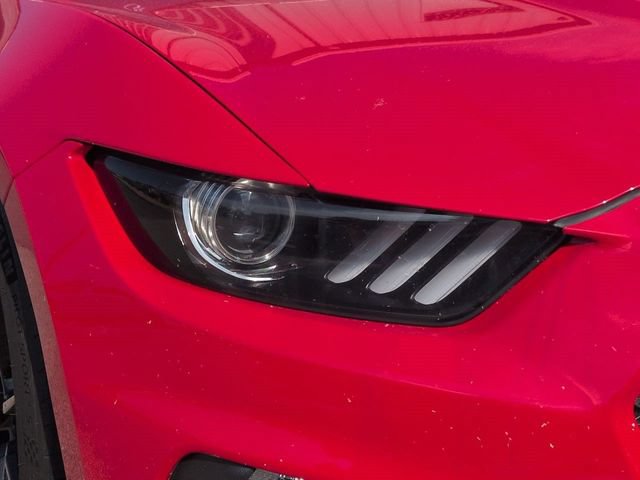 Certified 2019 Ford Mustang Shelby GT350 w/ Technology Package RWD image 10