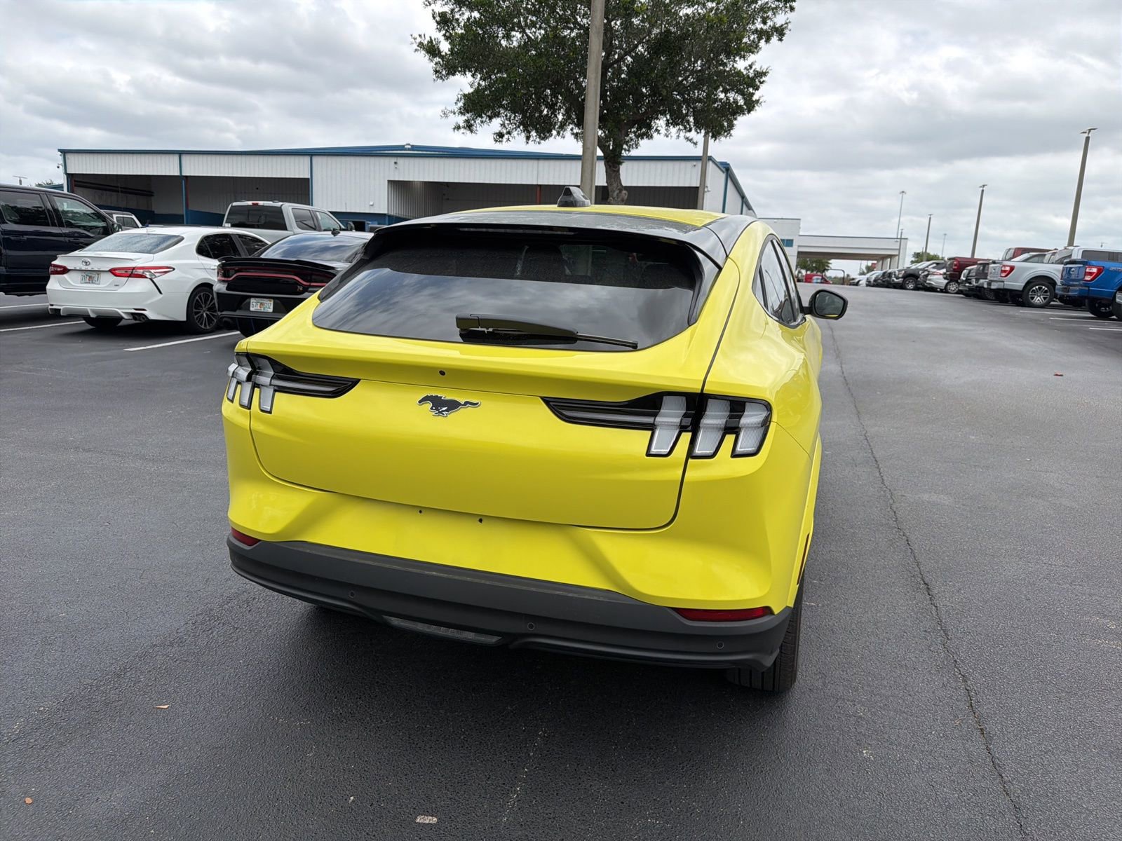 Certified 2025 Ford Mustang Mach-E Premium RWD image 8