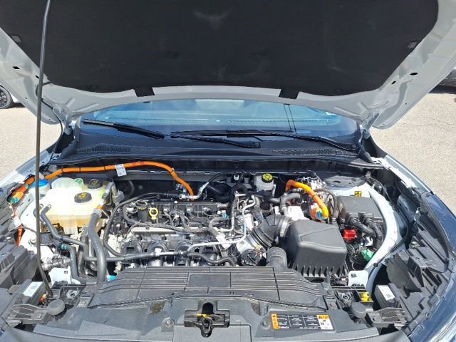 Certified 2025 Ford Escape ST-Line w/ Equipment Group 301A image 10