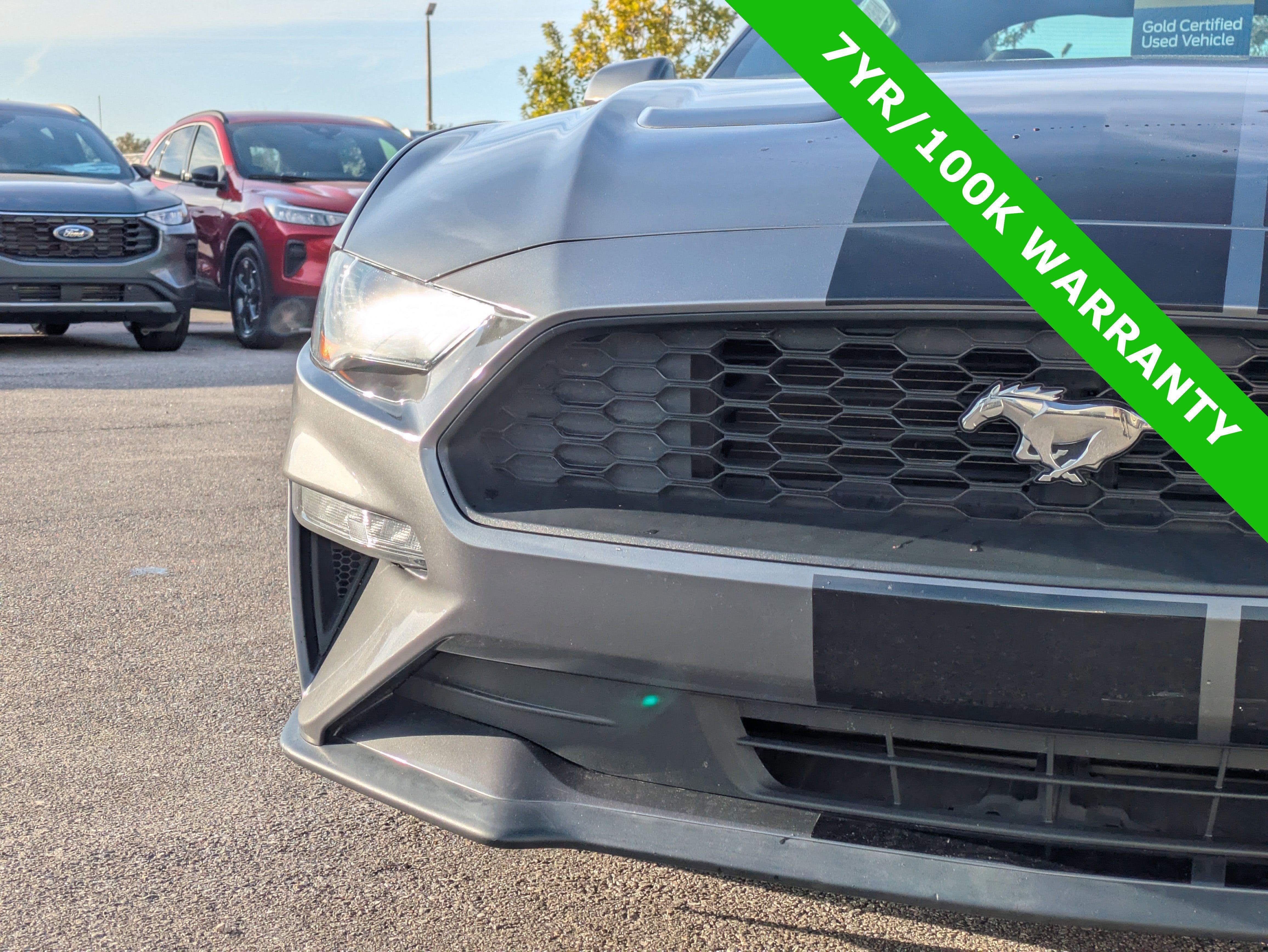 Certified 2021 Ford Mustang EcoBoost image 7