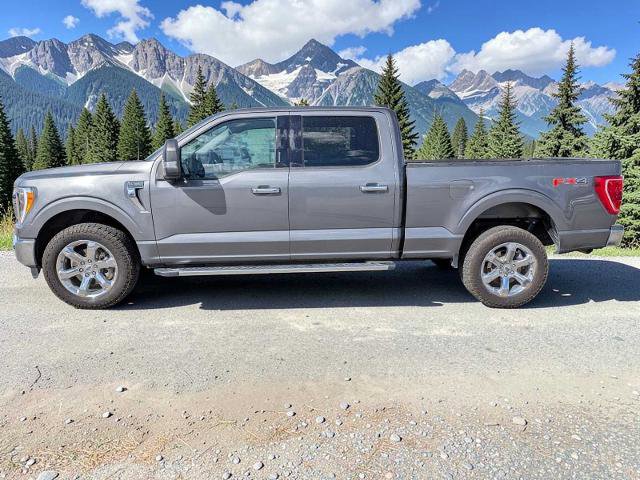 Certified 2023 Ford F150 XLT w/ Equipment Group 302A High AWD/4WD image 3