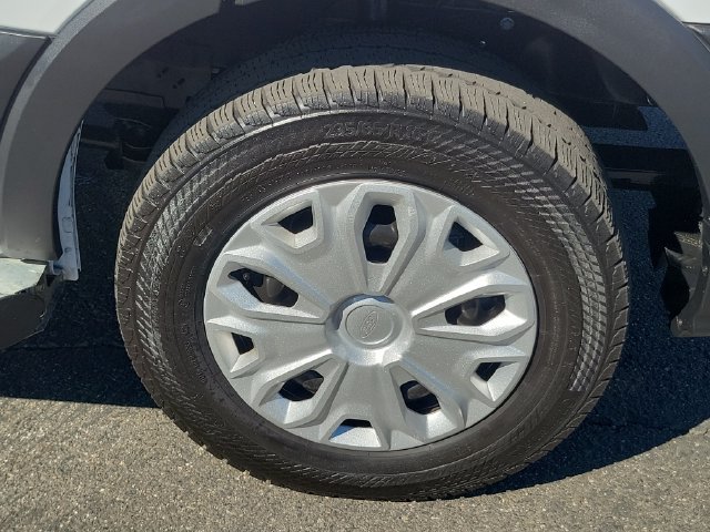 Certified 2025 Ford Transit 250 Low Roof w/ Exterior Upgrade Package RWD image 6