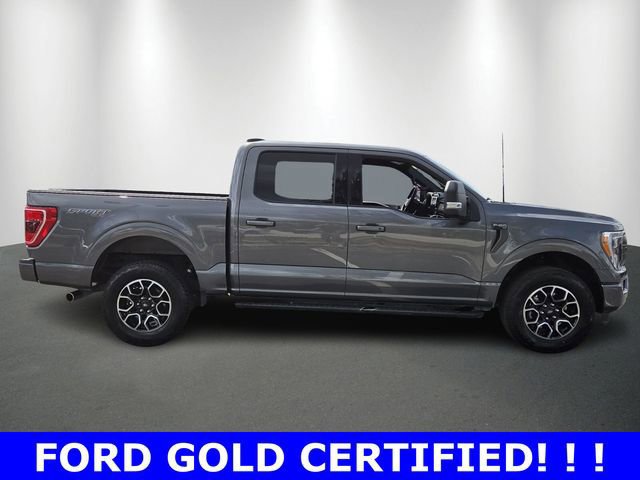 Certified 2023 Ford F150 XLT w/ Equipment Group 302A High image 2