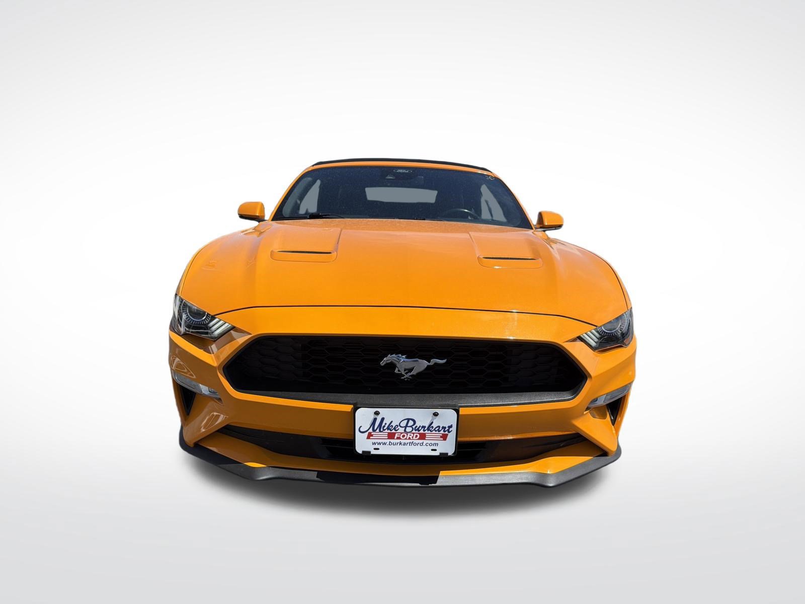 Certified 2018 Ford Mustang Premium w/ Equipment Group 201A RWD image 3