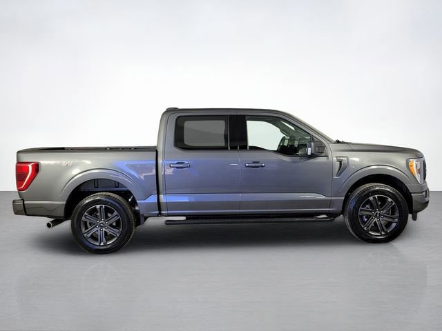 Certified 2023 Ford F150 XLT w/ Equipment Group 302A High image 6