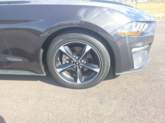 Certified 2023 Ford Mustang EcoBoost w/ Equipment Group 101A image 9