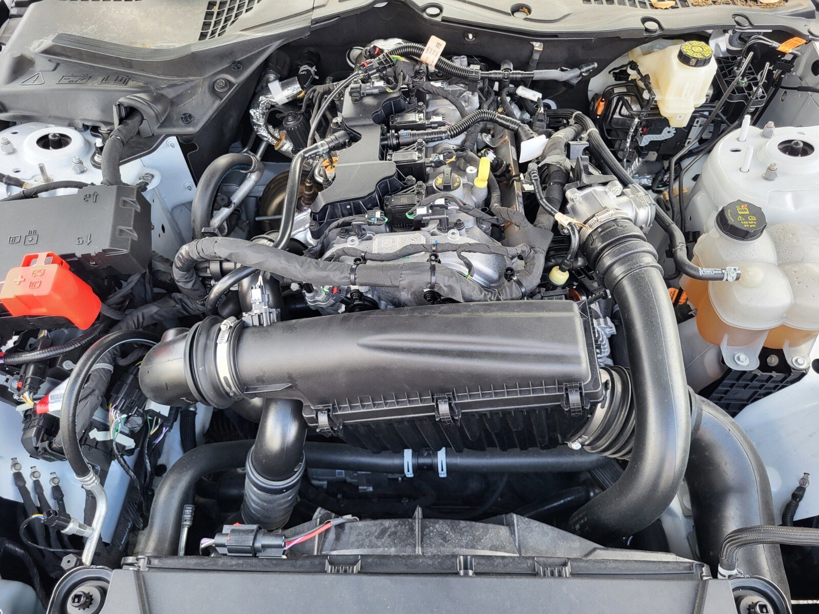 Certified 2025 Ford Mustang Coupe RWD image 31