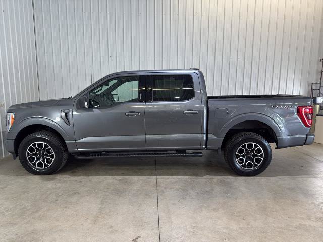 Certified 2022 Ford F150 XLT w/ Equipment Group 302A High AWD/4WD image 7
