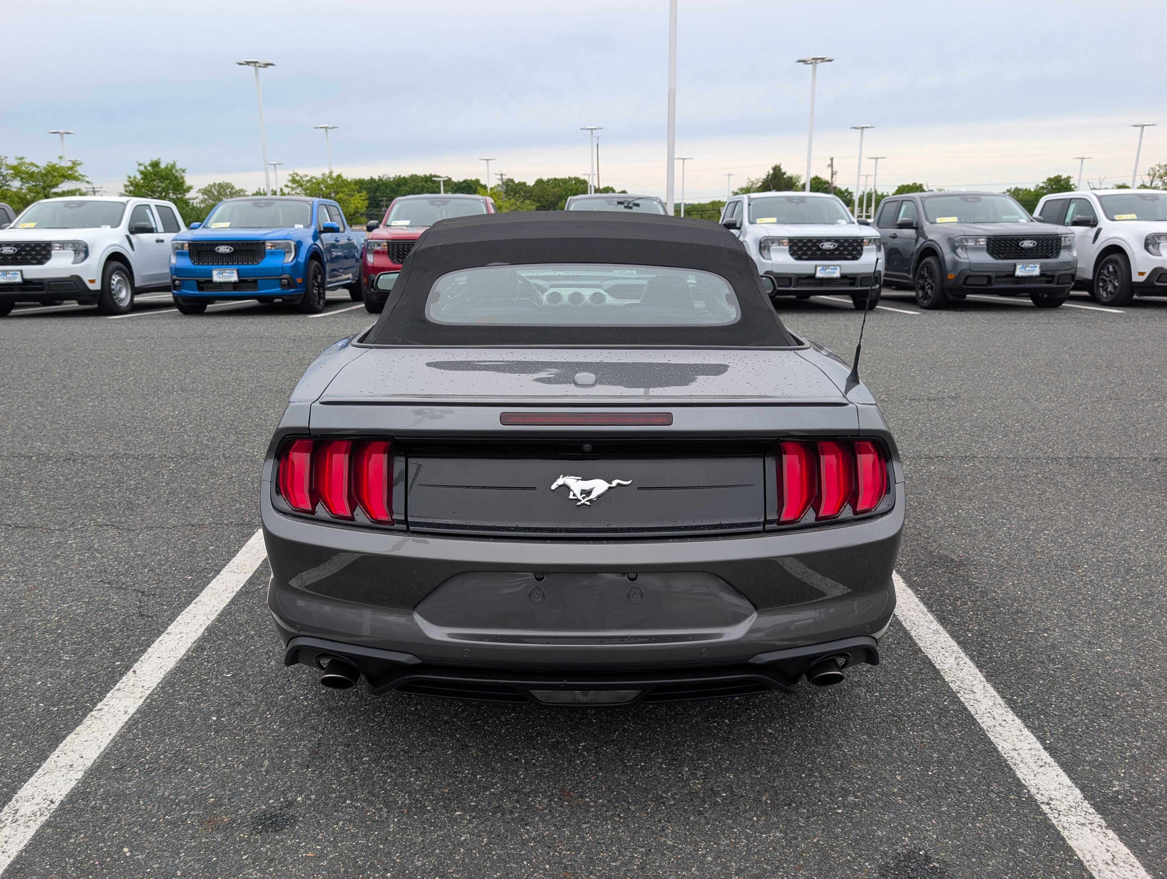 Certified 2023 Ford Mustang Premium RWD image 4