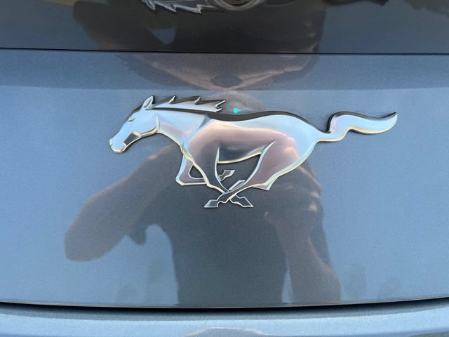 Certified 2024 Ford Mustang Premium w/ 2.3L High Performance Package RWD image 43