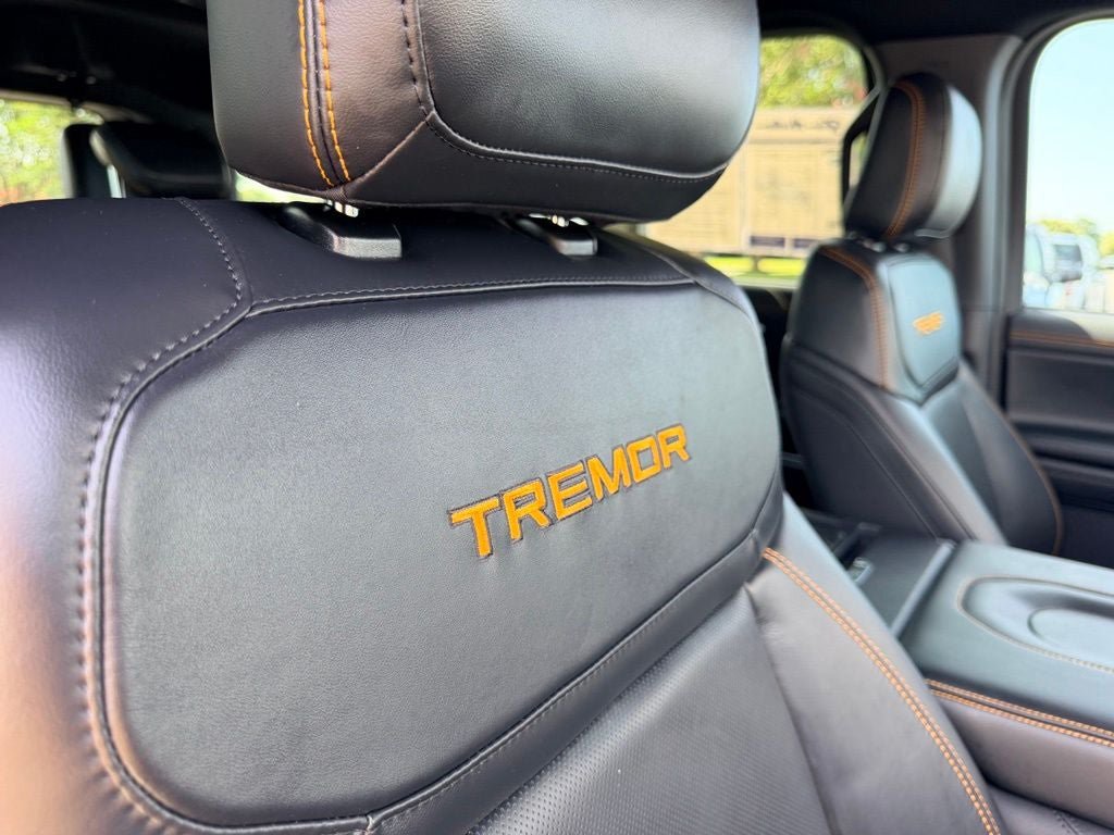 Certified 2025 Ford Expedition Tremor AWD/4WD image 14