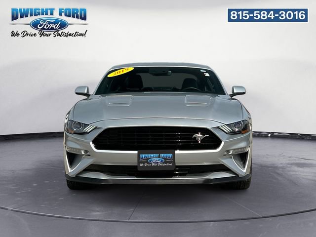 Certified 2019 Ford Mustang GT Premium w/ Equipment Group 401A RWD image 8