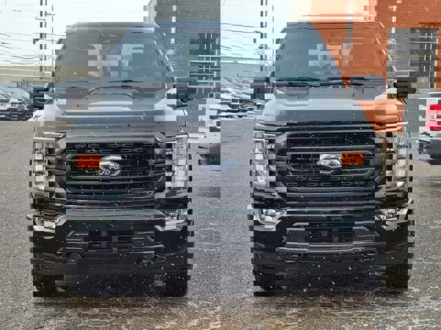 Certified 2023 Ford F150 XLT w/ Equipment Group 302A High image 4