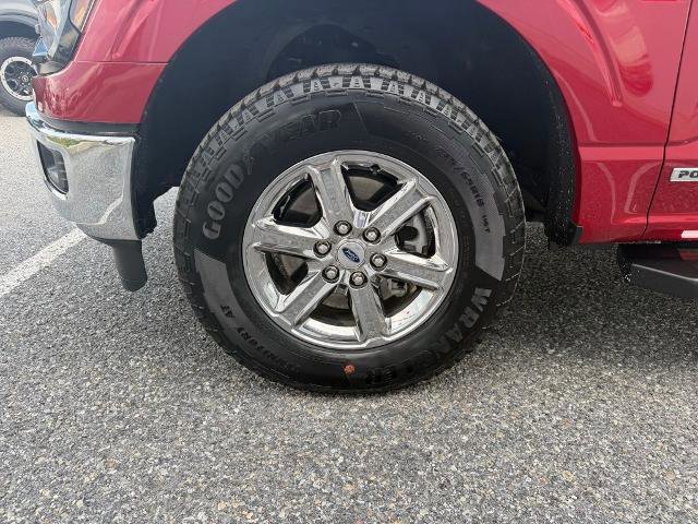 Certified 2025 Ford F150 XLT w/ Equipment Group 301A Standard image 22