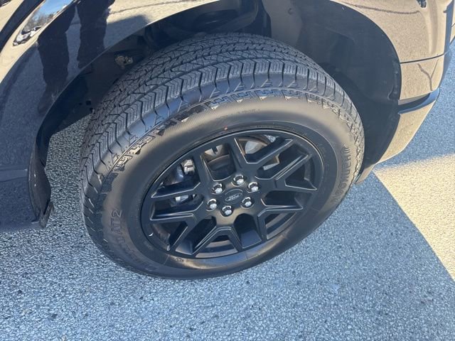 Certified 2024 Ford F150 STX w/ STX Black Appearance Package image 33