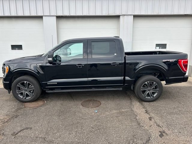 Certified 2023 Ford F150 XLT w/ Equipment Group 302A High AWD/4WD image 3