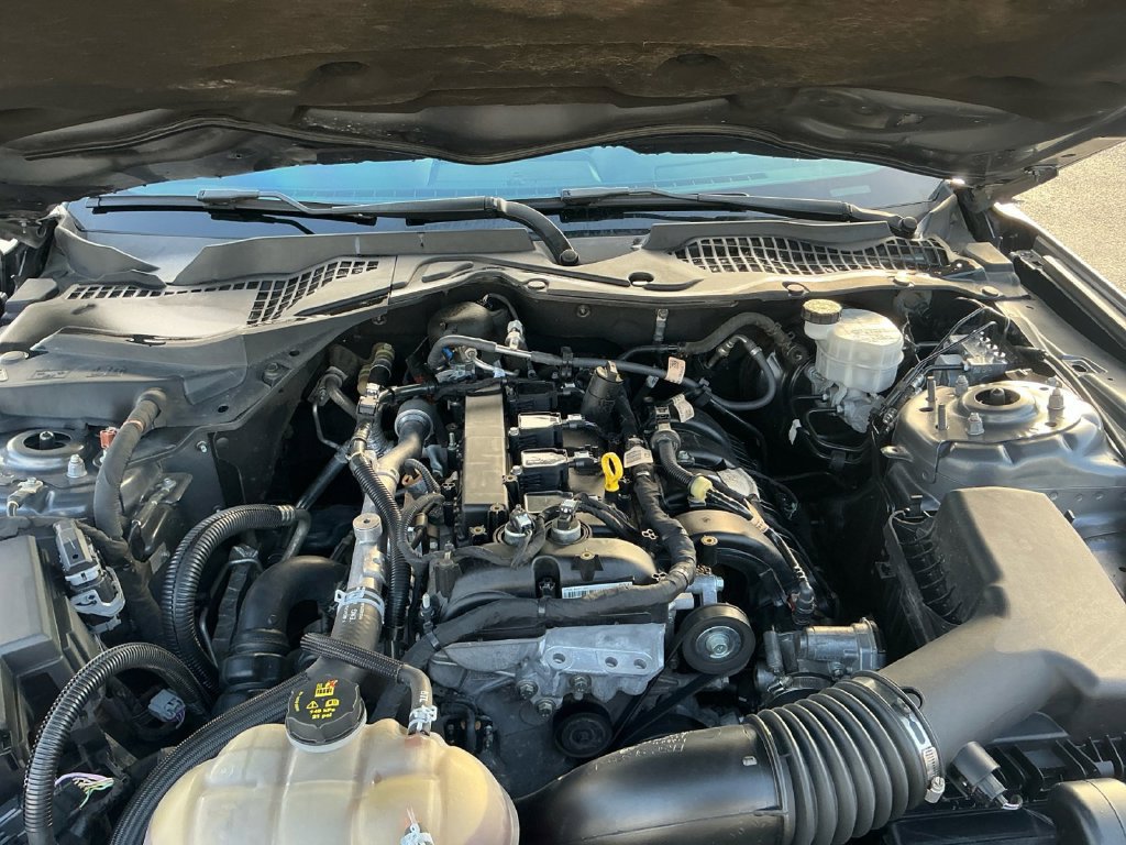 Certified 2021 Ford Mustang Premium w/ Equipment Group 201A RWD image 25