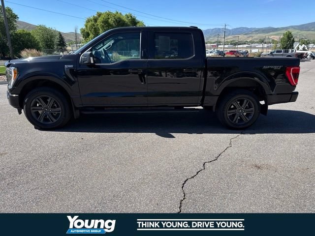 Certified 2023 Ford F150 XLT w/ Equipment Group 302A High AWD/4WD image 3