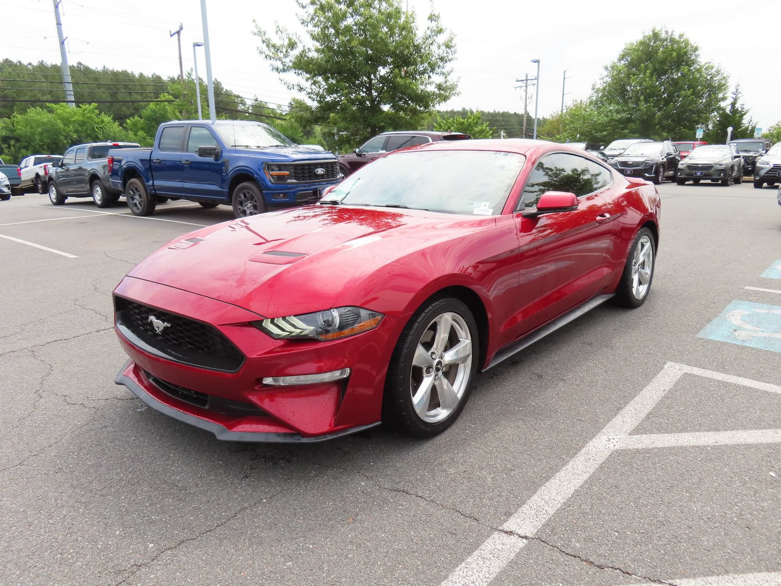 Certified 2018 Ford Mustang Premium RWD image 3