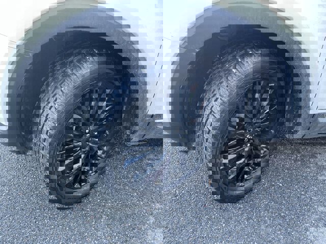 Used 2022 Kia Telluride SX w/ SX Prestige Package image 2