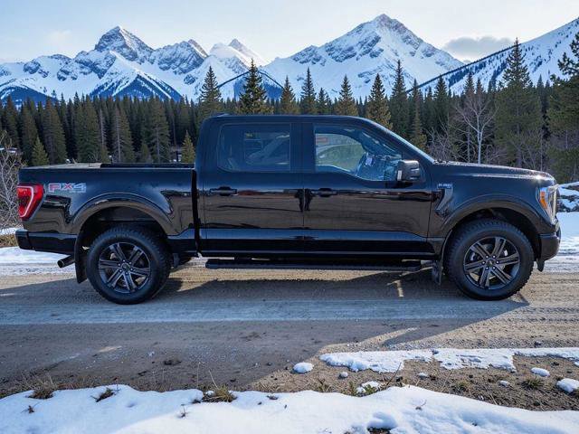 Certified 2022 Ford F150 XLT w/ Equipment Group 302A High image 2