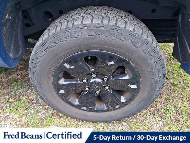 Certified 2023 Ford Ranger XLT w/ Equipment Group 301A Mid image 6