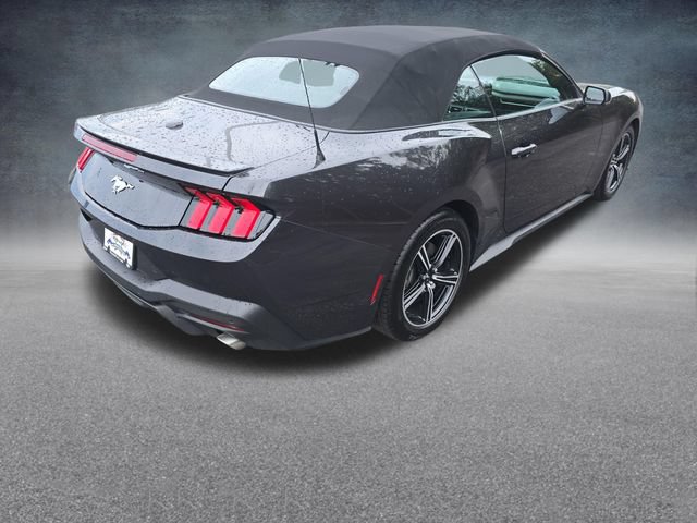 Certified 2024 Ford Mustang Premium RWD image 8
