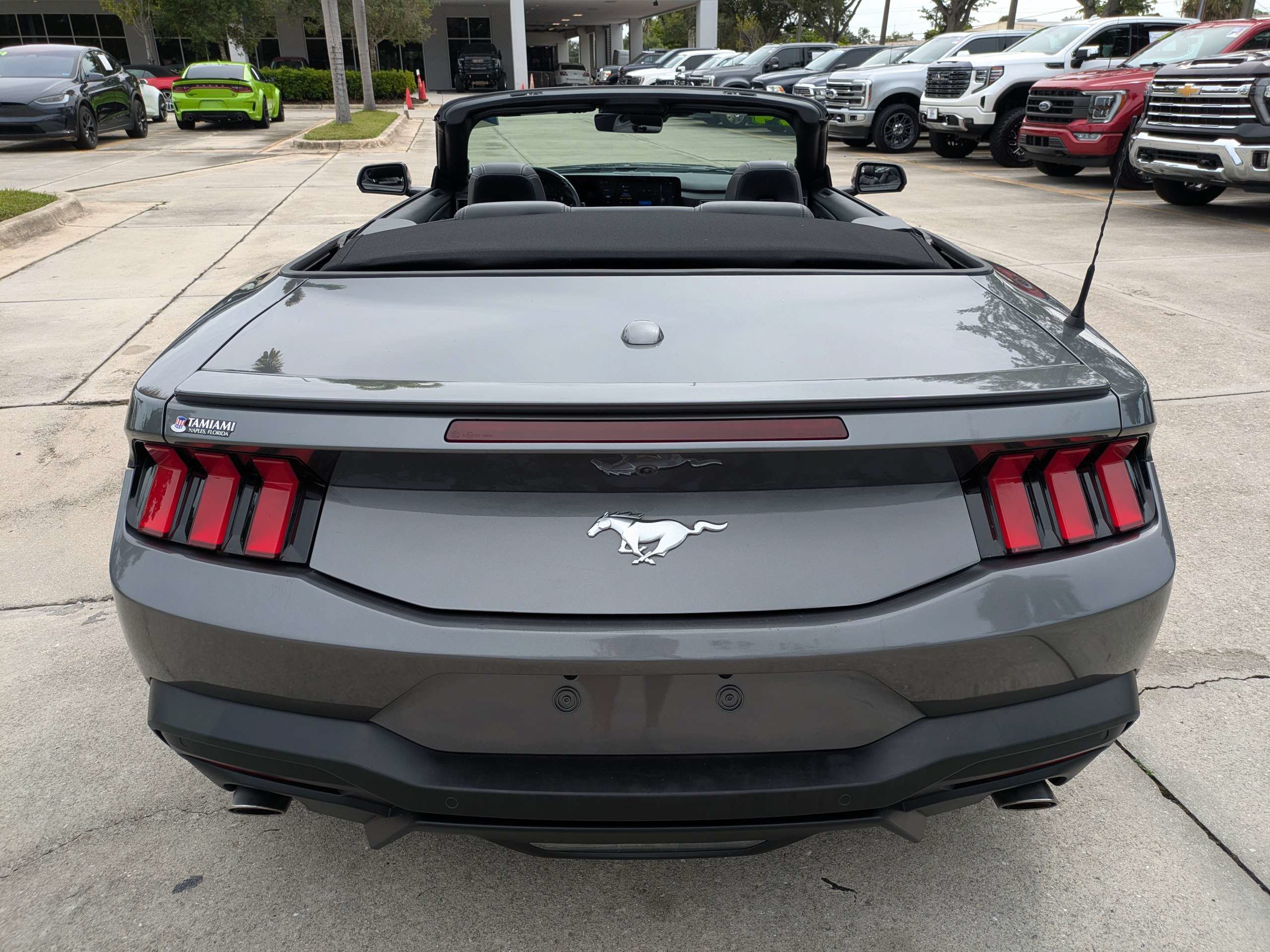 Certified 2024 Ford Mustang Premium RWD image 6