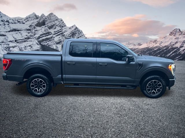 Certified 2023 Ford F150 XLT w/ Equipment Group 302A High image 2