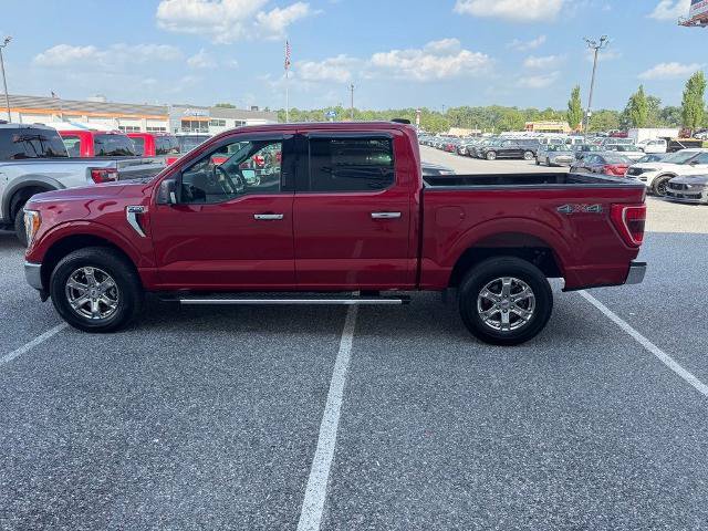 Certified 2022 Ford F150 XLT w/ Equipment Group 302A High AWD/4WD image 5
