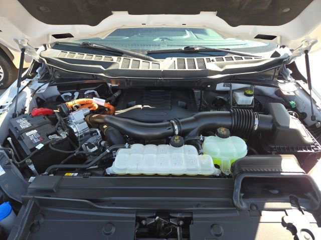 Certified 2023 Ford F150 XLT w/ Equipment Group 302A High AWD/4WD image 13