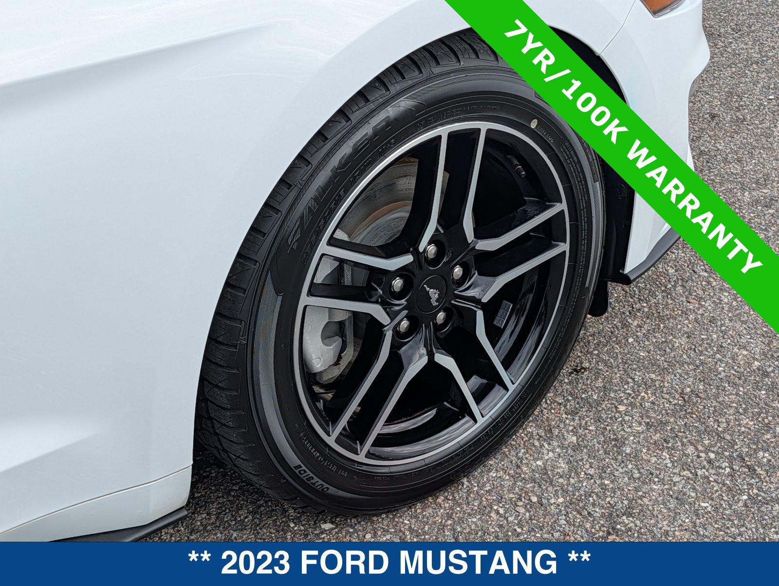 Certified 2023 Ford Mustang Premium RWD image 13