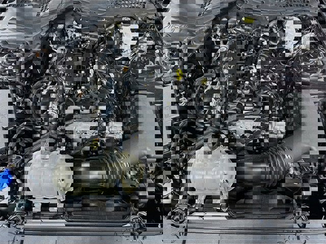 Certified 2022 Ford Mustang Coupe w/ Equipment Group 101A image 19