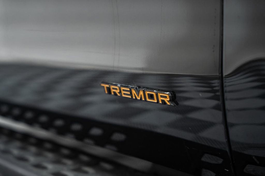 Certified 2025 Ford Expedition Tremor image 21