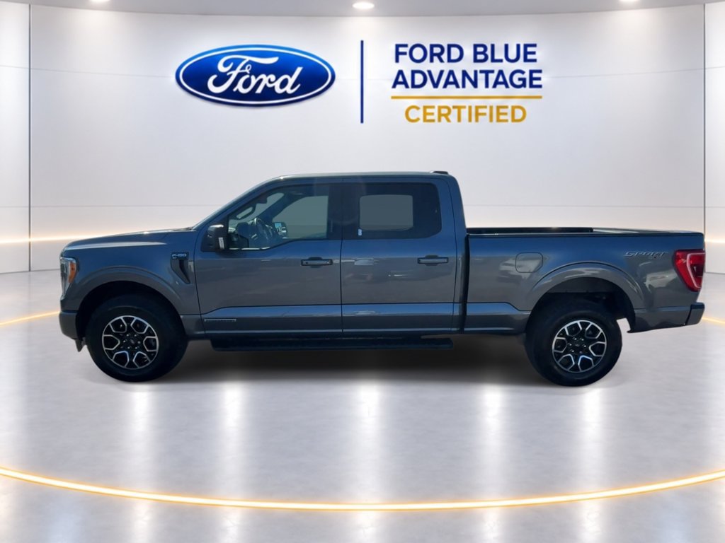 Certified 2023 Ford F150 XLT w/ Equipment Group 302A High AWD/4WD image 6