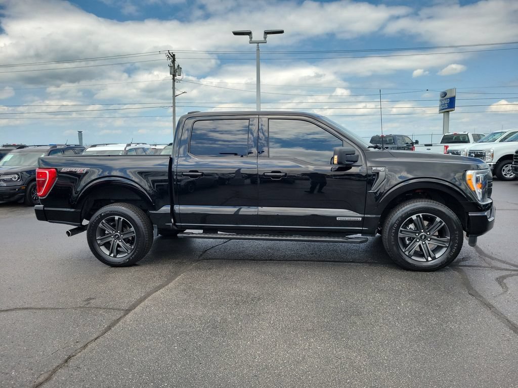 Certified 2023 Ford F150 XLT w/ Equipment Group 302A High AWD/4WD image 3